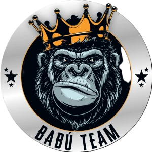 Logo Babu Team